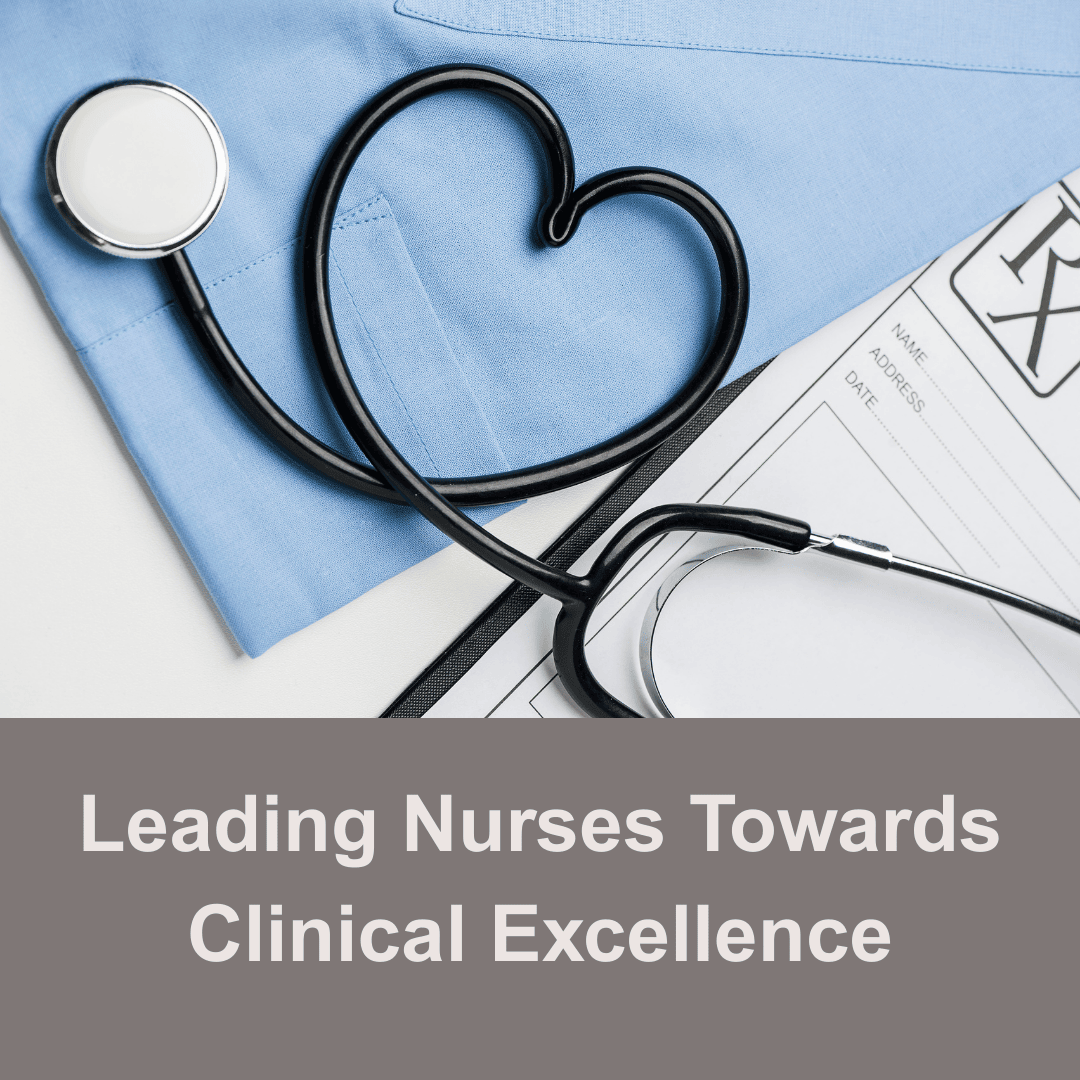 Educational Program for Nurse Managers: Leading Nurses Towards Clinical Expertise Banner